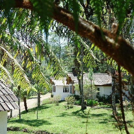 Posada Montana Del Quetzal Cobán Kültér fotó